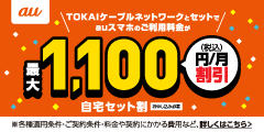 auスマートバリュー