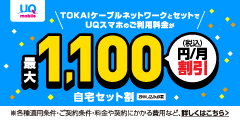 UQ自宅セット割　インターネットコース