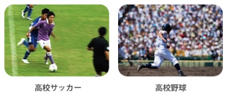 高校サッカー 高校野球
