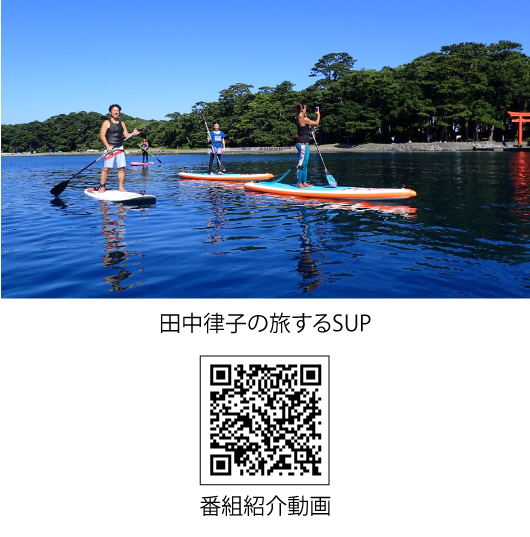 番組スポンサー広告
