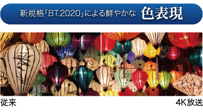 色表現